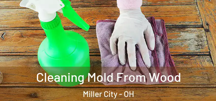  Cleaning Mold From Wood Miller City - OH