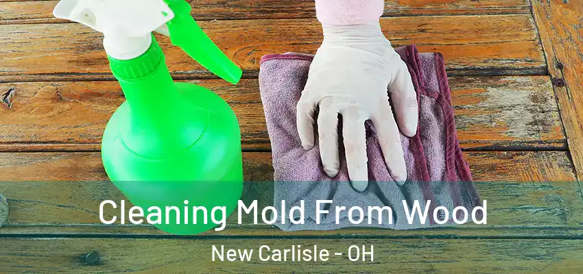  Cleaning Mold From Wood New Carlisle - OH