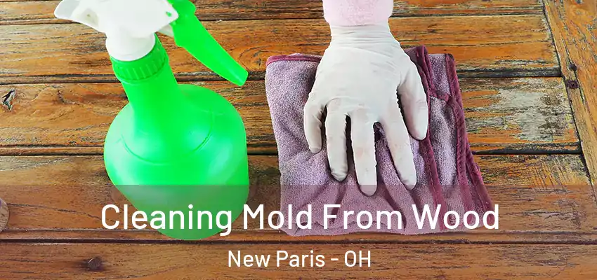  Cleaning Mold From Wood New Paris - OH