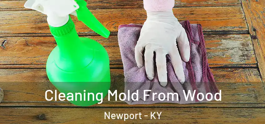  Cleaning Mold From Wood Newport - KY