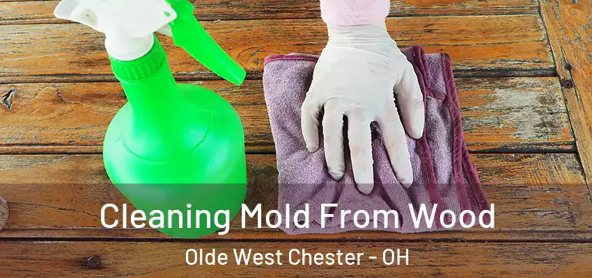  Cleaning Mold From Wood Olde West Chester - OH