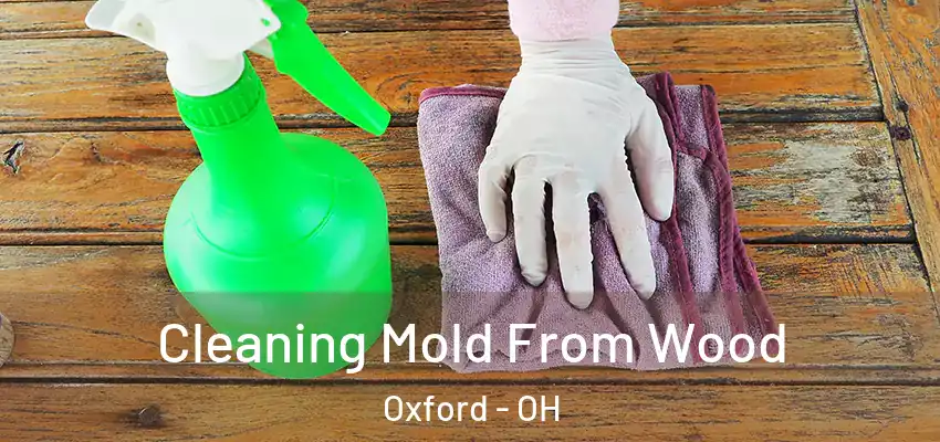  Cleaning Mold From Wood Oxford - OH