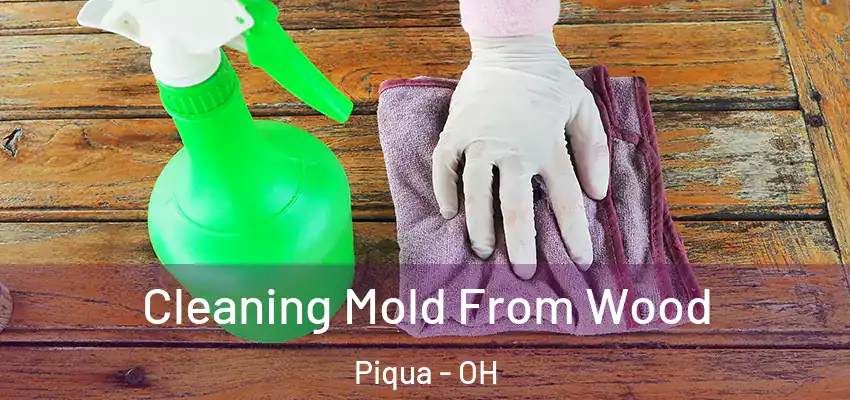  Cleaning Mold From Wood Piqua - OH