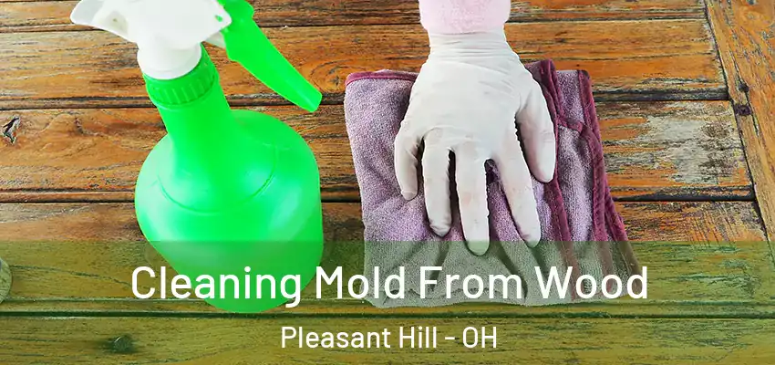 Cleaning Mold From Wood Pleasant Hill - OH