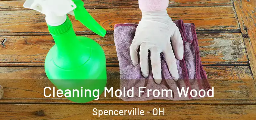  Cleaning Mold From Wood Spencerville - OH