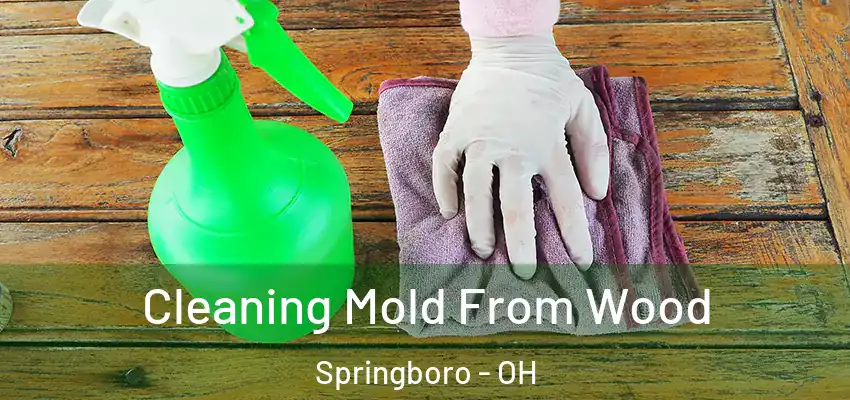 Cleaning Mold From Wood Springboro - OH