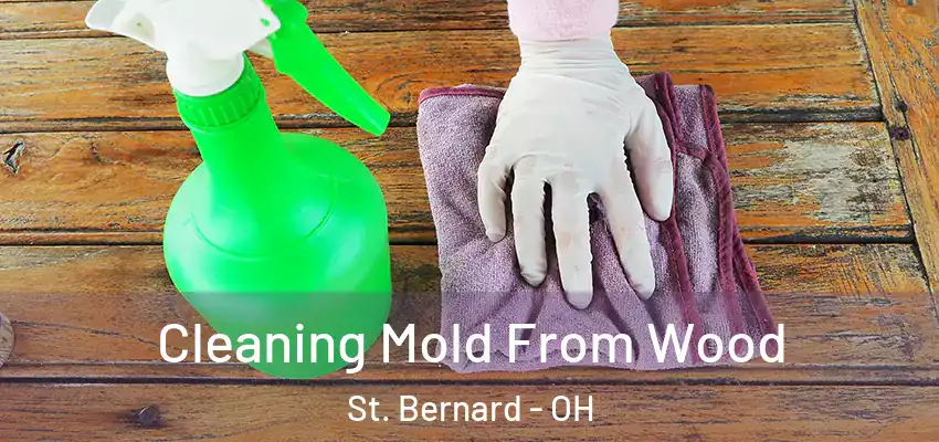  Cleaning Mold From Wood St. Bernard - OH