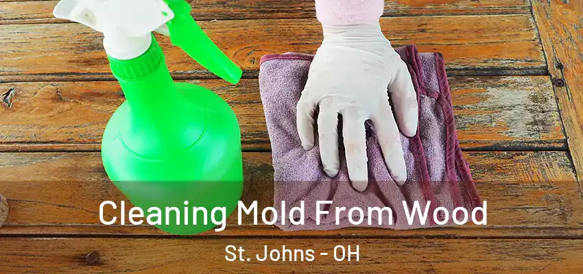  Cleaning Mold From Wood St. Johns - OH