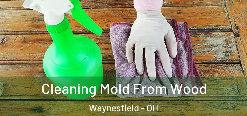  Cleaning Mold From Wood Waynesfield - OH