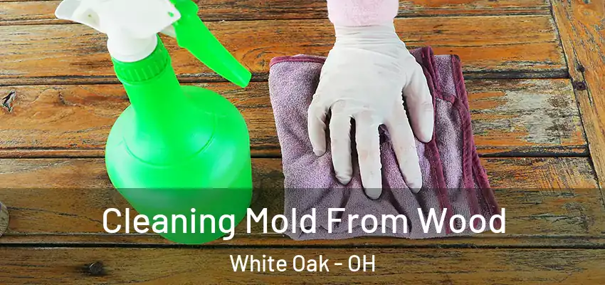  Cleaning Mold From Wood White Oak - OH