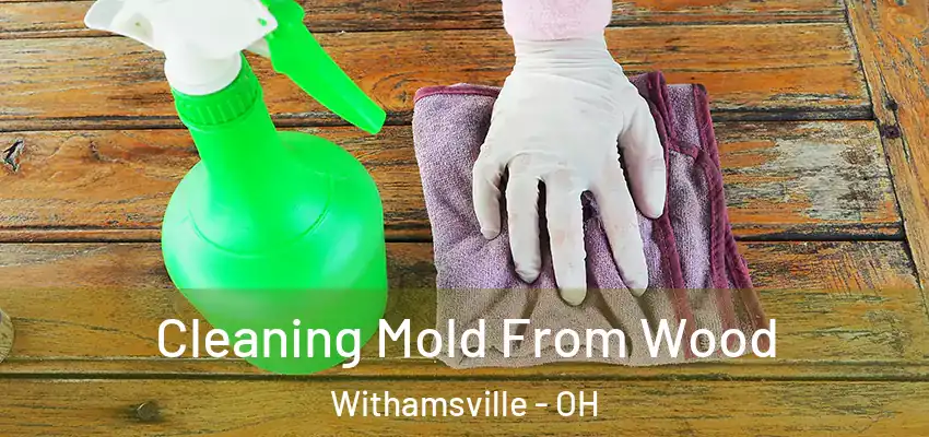  Cleaning Mold From Wood Withamsville - OH