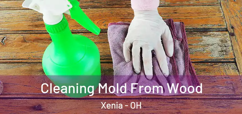 Cleaning Mold From Wood Xenia - OH