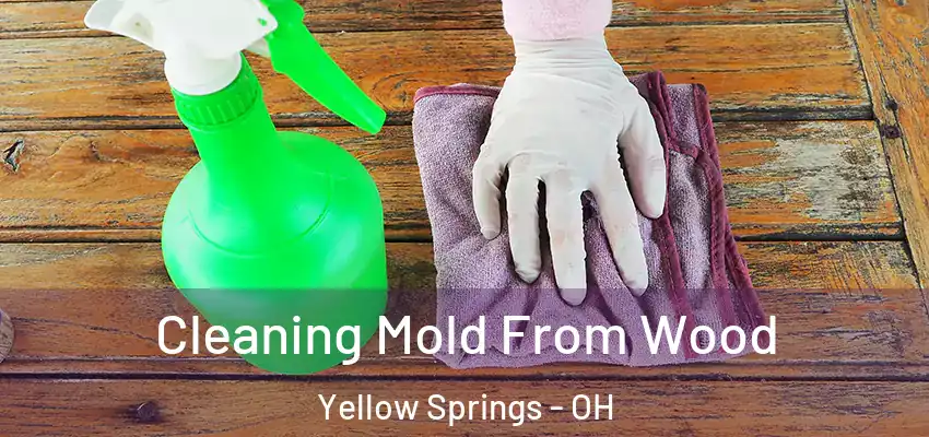  Cleaning Mold From Wood Yellow Springs - OH