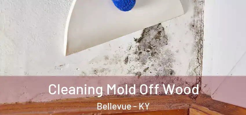  Cleaning Mold Off Wood Bellevue - KY