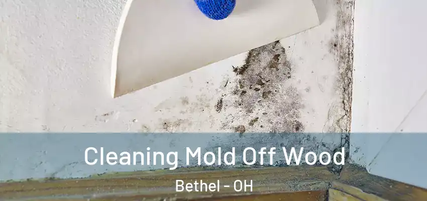  Cleaning Mold Off Wood Bethel - OH
