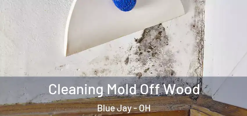 Cleaning Mold Off Wood Blue Jay - OH