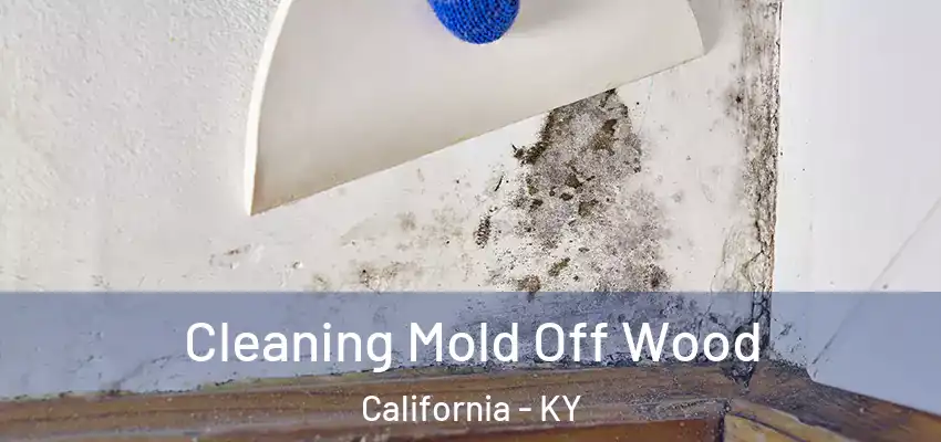  Cleaning Mold Off Wood California - KY