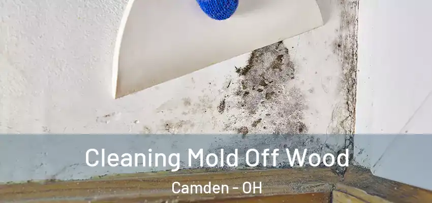 Cleaning Mold Off Wood Camden - OH