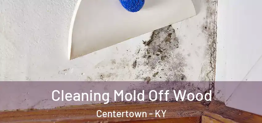 Cleaning Mold Off Wood Centertown - KY