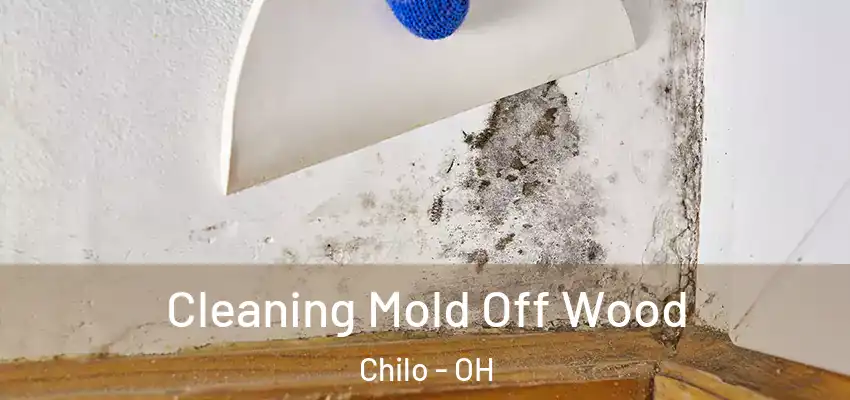  Cleaning Mold Off Wood Chilo - OH