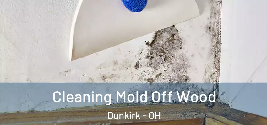 Cleaning Mold Off Wood Dunkirk - OH