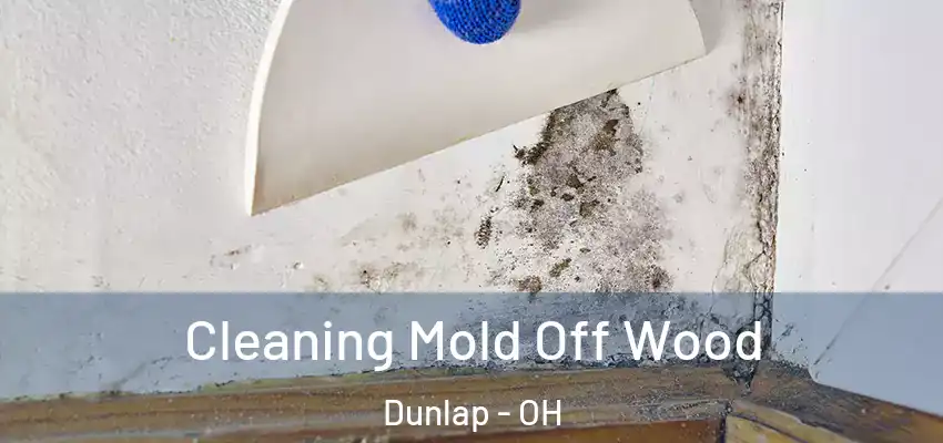 Cleaning Mold Off Wood Dunlap - OH