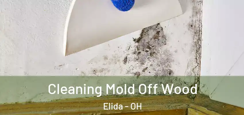  Cleaning Mold Off Wood Elida - OH
