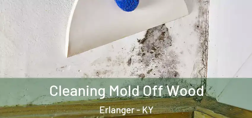  Cleaning Mold Off Wood Erlanger - KY