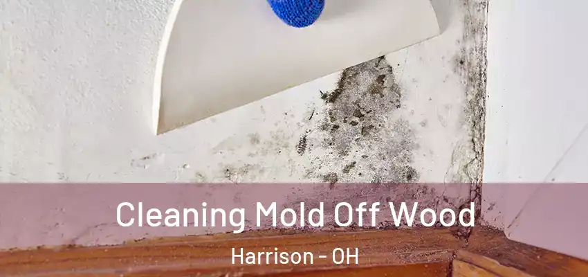  Cleaning Mold Off Wood Harrison - OH