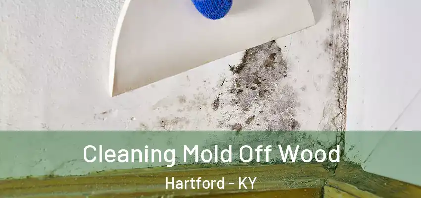  Cleaning Mold Off Wood Hartford - KY