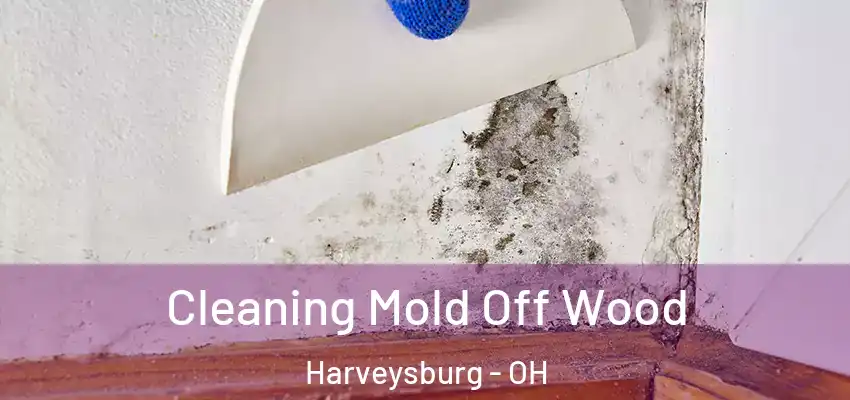  Cleaning Mold Off Wood Harveysburg - OH