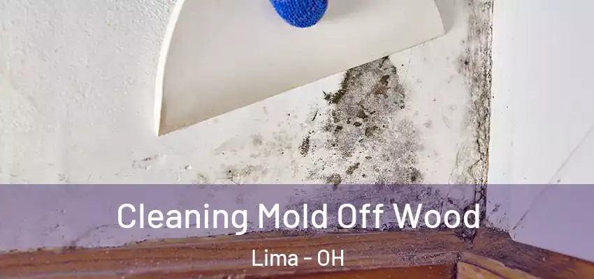  Cleaning Mold Off Wood Lima - OH