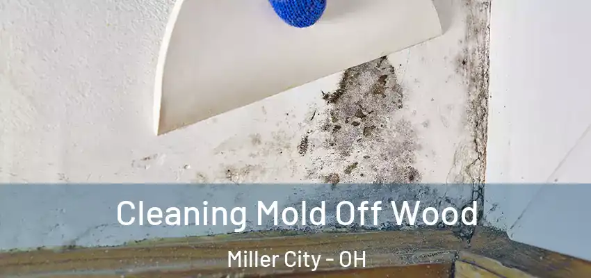  Cleaning Mold Off Wood Miller City - OH