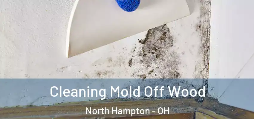Cleaning Mold Off Wood North Hampton - OH
