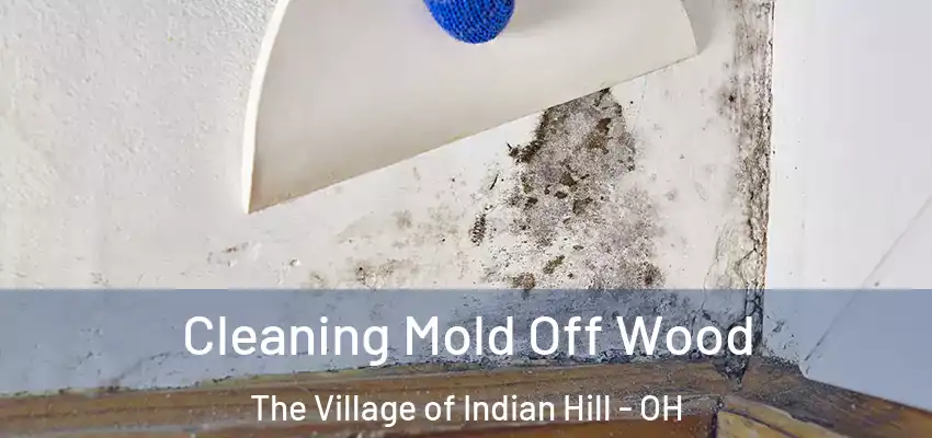  Cleaning Mold Off Wood The Village of Indian Hill - OH