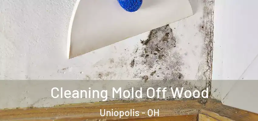  Cleaning Mold Off Wood Uniopolis - OH