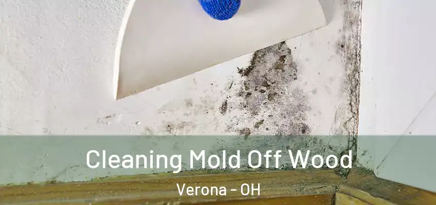  Cleaning Mold Off Wood Verona - OH