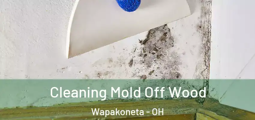  Cleaning Mold Off Wood Wapakoneta - OH