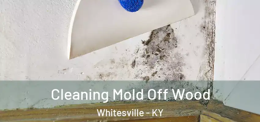  Cleaning Mold Off Wood Whitesville - KY