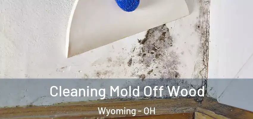  Cleaning Mold Off Wood Wyoming - OH