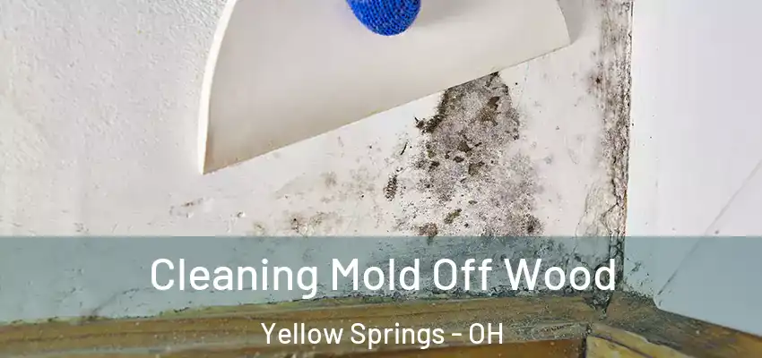  Cleaning Mold Off Wood Yellow Springs - OH