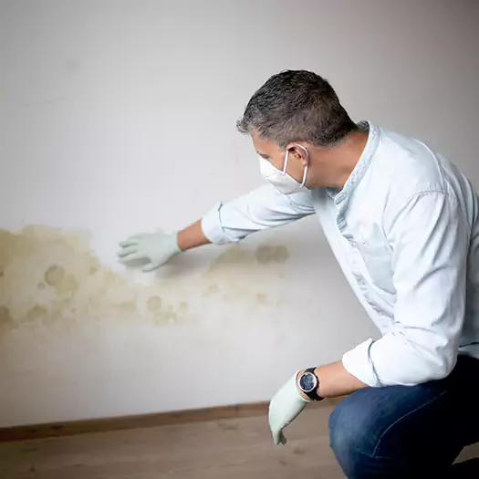 Trusted Mold Remediation and Removal Experts in Germantown, OH