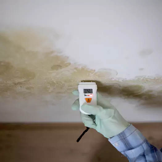 Reliable Mold Inspection Experts in Germantown, OH