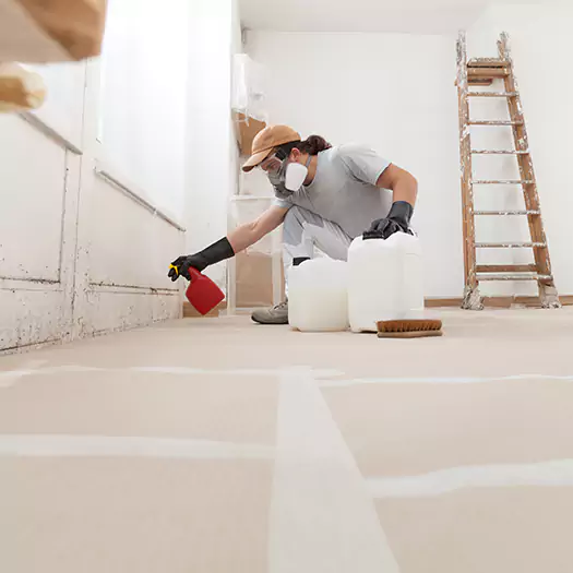 Reliable Mold Stain Remover Specialists in Germantown, OH