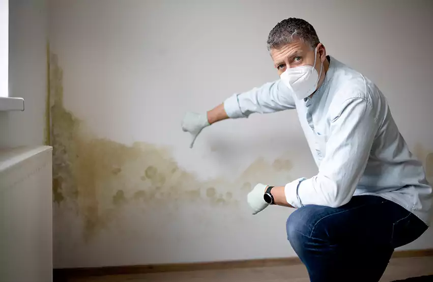 Mold Removal in Germantown, OH