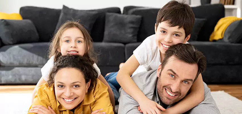 Mold Stain Remover for Wood in Germantown, OH