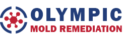 Olympic Mold Remediation