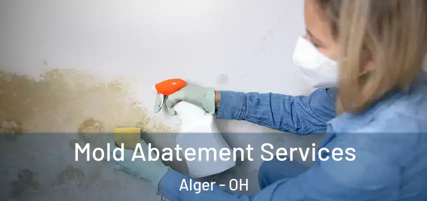  Mold Abatement Services Alger - OH