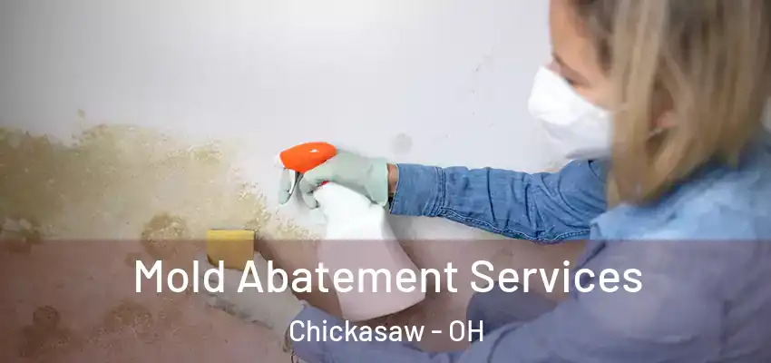 Mold Abatement Services Chickasaw - OH
