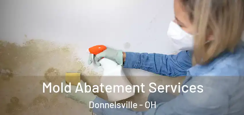  Mold Abatement Services Donnelsville - OH